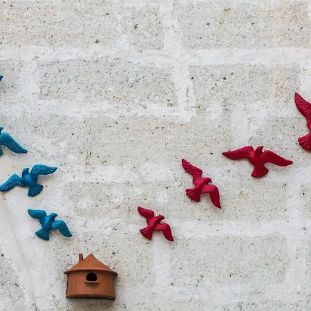 Πανσιόν Hikmet's House 4*